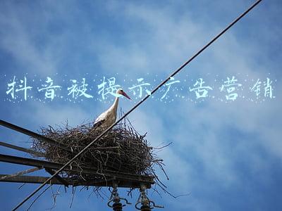 被抖音的广告欺骗(男子轻信抖音广告被套路 民警提醒谨慎选择避免损失)