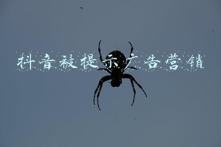 抖音有广告怎么解决(烦人的头条广告怎么去掉？？来，我教你)