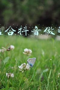 店铺结合抖音做的营销案例