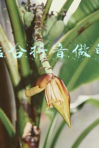 店铺结合抖音做的营销案例