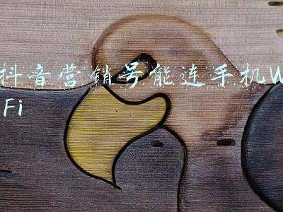 抖音营销号能连手机WiFi