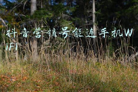 抖音营销号能连手机WiFi