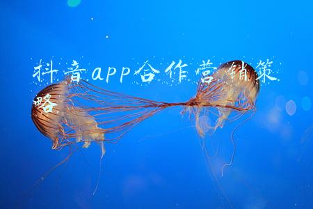 抖音app合作营销策略