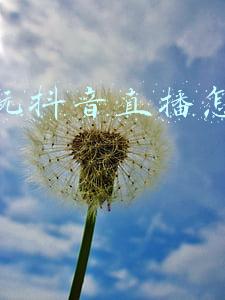 网红玩抖音直播怎么赚钱