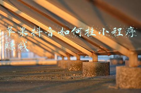 苹果13关闭后台程序(iPhone13息屏后，后台程序仍不断运行，亏电严重)
