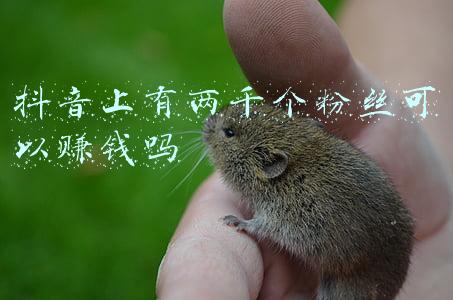 抖音上有两千个粉丝可以赚钱吗