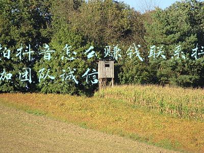拍抖音怎么赚钱联系抖咖团队诚信