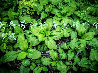 头条号做影视剪辑能赚钱吗(上班族副业，头条自媒体音乐剪辑每天稳定300收入，教程)
