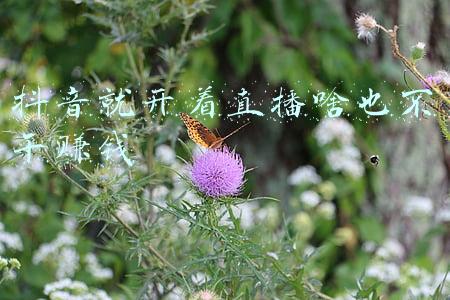 如何开直播赚钱(普通人开直播能赚钱吗？这4种直播方式你试过吗？)