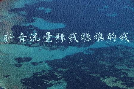 抖音流量赚钱吗(玩抖音不买流量就想在平台用短视频变现，那是不可能的)