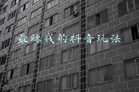 抖音咋样玩才会赚钱(抖音赚钱小知识)