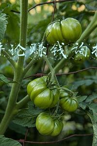 抖音评论赚钱询抖咖团队