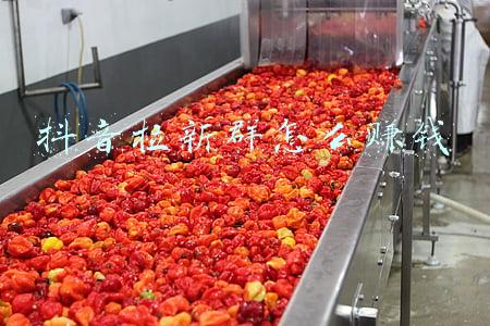 抖音拉群单子(高鹏圈·抖音带货矩阵项目，起号成功率100%，出单率100%)