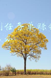 抖音刷任务单赚钱被套路怎么办