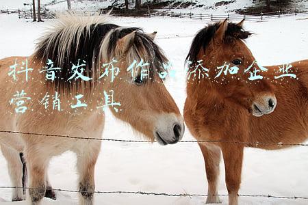 抖音发布作品添加企业营销工具