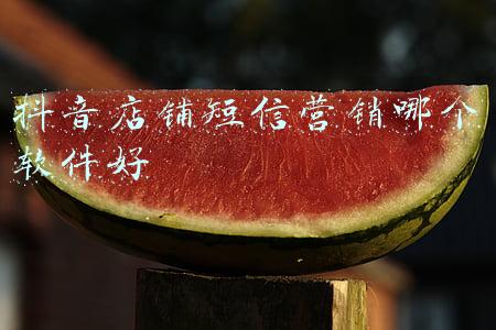抖音店铺短信营销哪个软件好