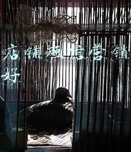 抖音店铺短信营销哪个软件好
