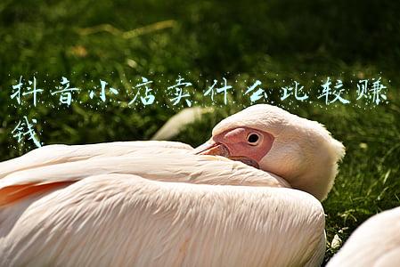 抖音小店卖什么东西好卖(抖音小店无货源，卖哪些产品好呢？新手必看选品技巧)
