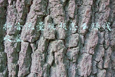 抖音流量视频怎么赚钱收益