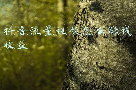 微信视频号流量收益(2022年，内容创作者在视频号如何获得流量再增长？)