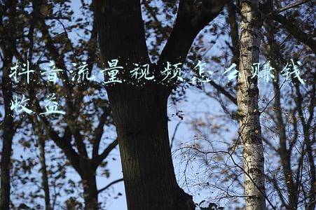 抖音流量视频怎么赚钱收益