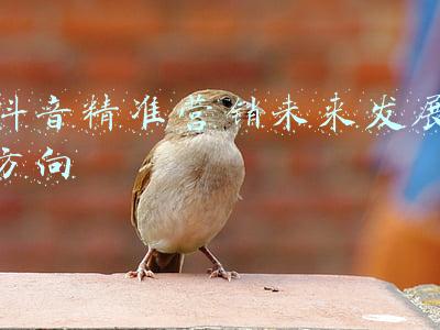 精准营销获客(这里有一份精准营销获客手册)