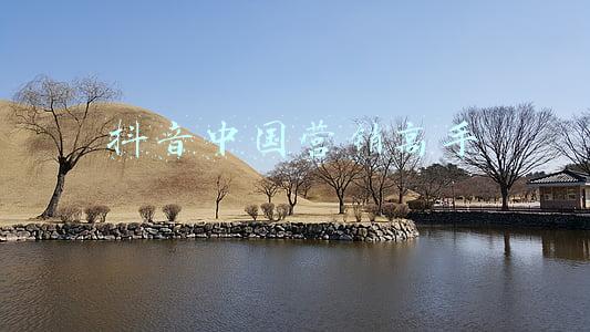 抖音中国营销高手