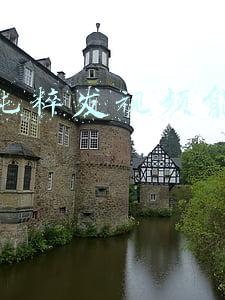 纯粹是什么意思(人生要活的纯粹)