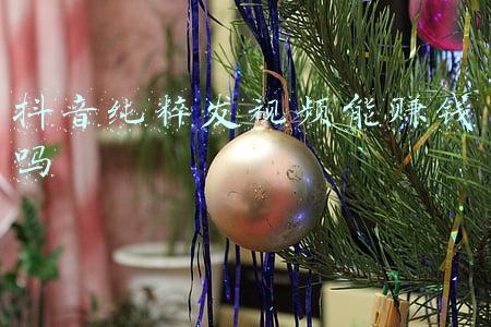 抖音纯粹发视频能赚钱吗