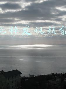 纯粹猫粮(「35款猫粮评测系列」湿猫粮（猫罐头）推荐排行榜（下集）)