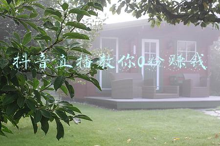 教你生茯苓粉怎么吃(当归粉的食用方法大揭秘)