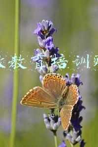 加盟教育培训赚钱么(多因素驱动，教育加盟究竟是不是一门好生意？)