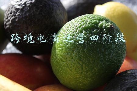 电商发展的五个阶段(“双十一”印证中国消费市场潜力，电商行业发展持续提质升级)