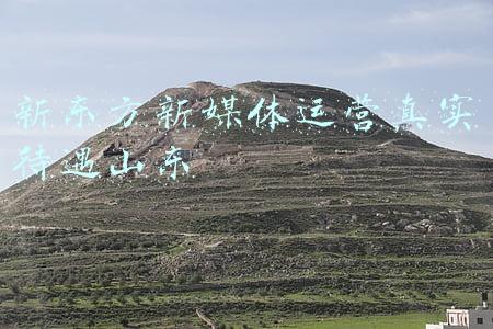 新东方媒体(俞敏洪不必当最佳示范，但新东方确实需要挣快钱)