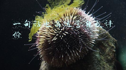 一句话自我评价怎么写(「简历」自我评价怎么写？一句话公式创作优秀自我评价)