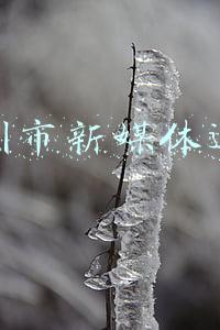 深圳市新媒体有限公司(深圳钛铂新媒体董事长龚铂洋：引爆流量，Get视频号的正确打开方式)