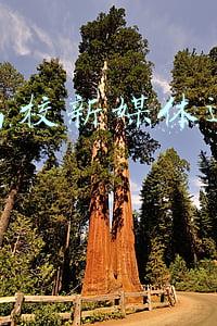 全国高校新媒体运营排名 全国高校新媒体运营排名