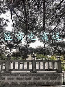 加盟商店面管理进度表(（书籍）门店规范管理全套表格)