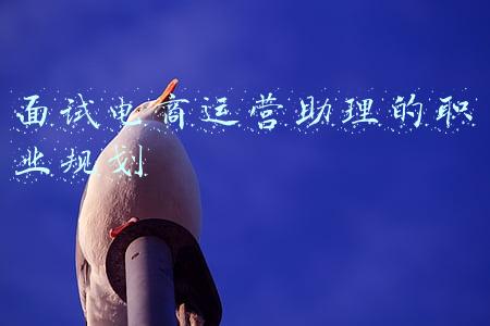 面试电商运营助理的职业规划