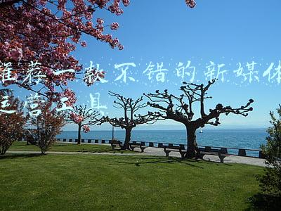 新媒体推广工具(海外社媒营销都有哪些平台？各有什么功能？)