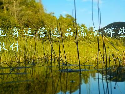 电商运营工具软件(超实用电商辅助软件分享 提升运营效率)