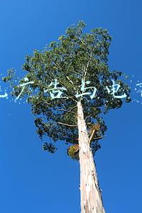 信息流广告与电商运营