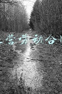 电商运营劳动合同范本