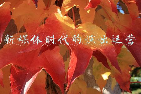 新媒体时代的演出运营