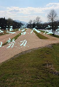 新媒体方面(新媒体运营，从四个方面入手)