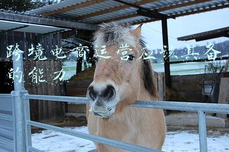 跨境电商专业能力大赛(首届全国跨境电子商务技能竞赛总决赛在穗落幕)