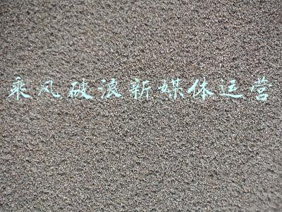 在新征程上乘风破浪(青平：乘风破浪新征程，接续奋进“十四五”)