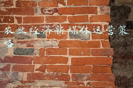 新媒体时代农产品的现状(全国农村电商发展成就、现状特点、问题与对策建议)