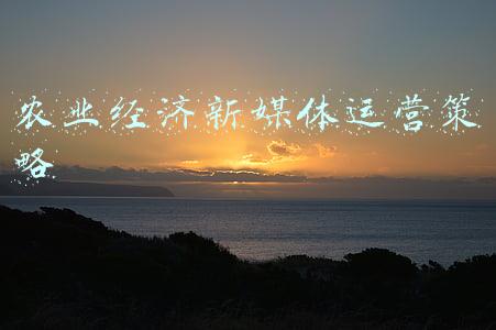 农业经济新媒体运营策略