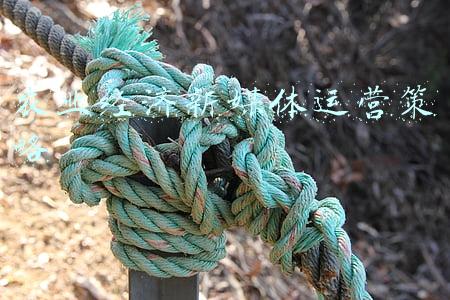 农业经济新媒体运营策略